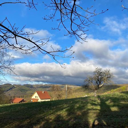 Nature Homestay Trencin Exterior photo