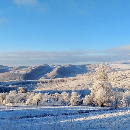 Nature Homestay Trencin Exterior photo