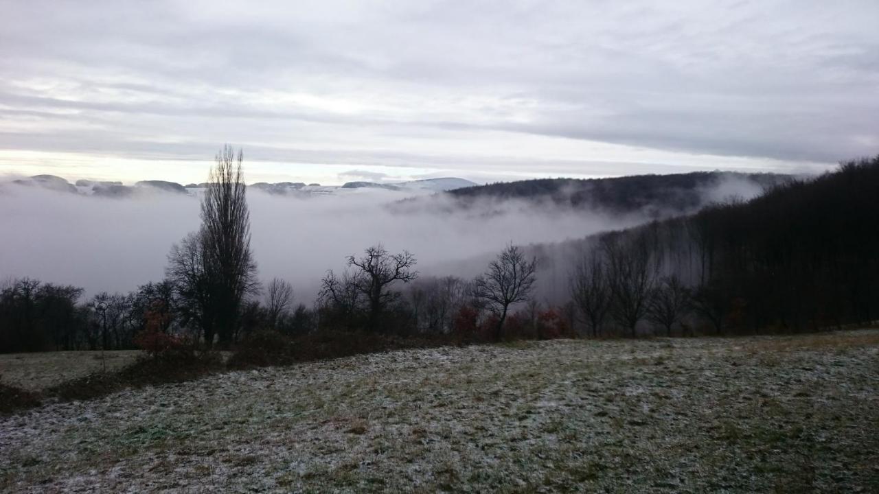 Nature Homestay Trencin Exterior photo