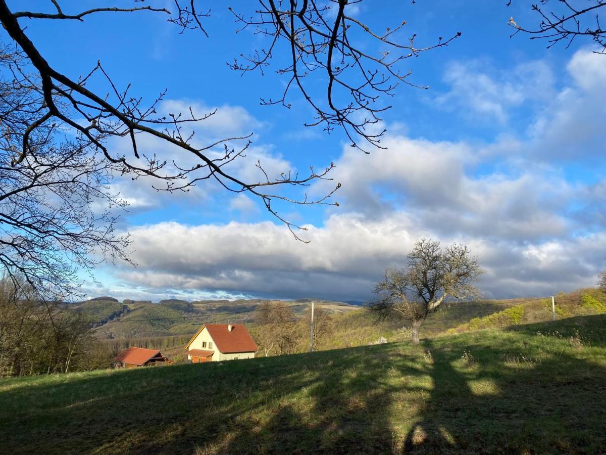 Nature Homestay Trencin Exterior photo