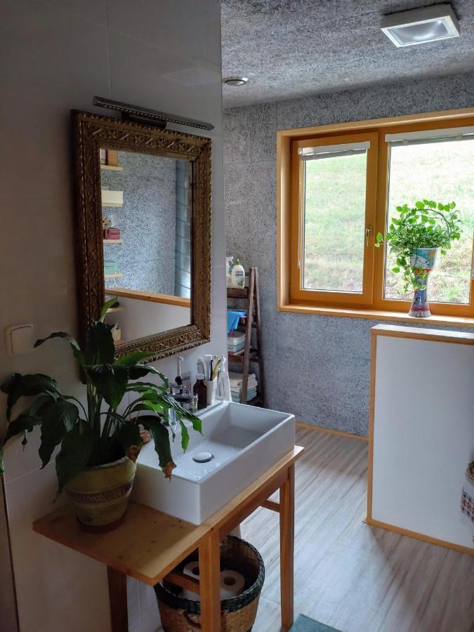 Nature Homestay Trencin Exterior photo