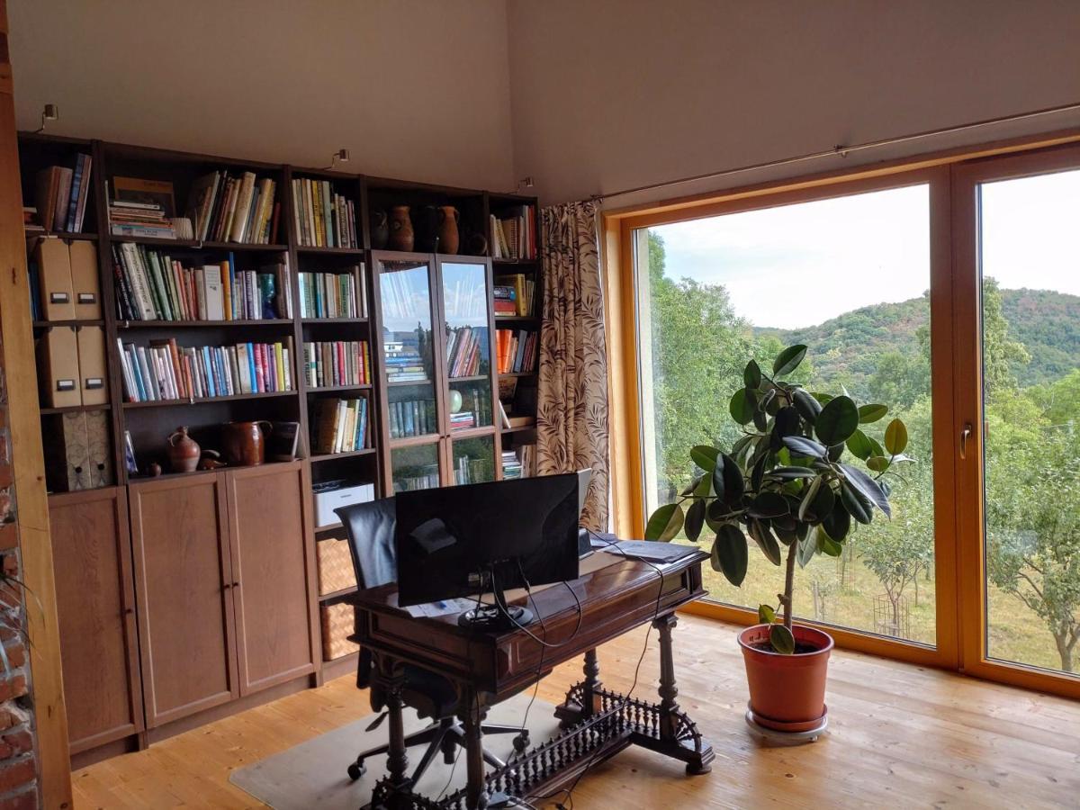 Nature Homestay Trencin Exterior photo