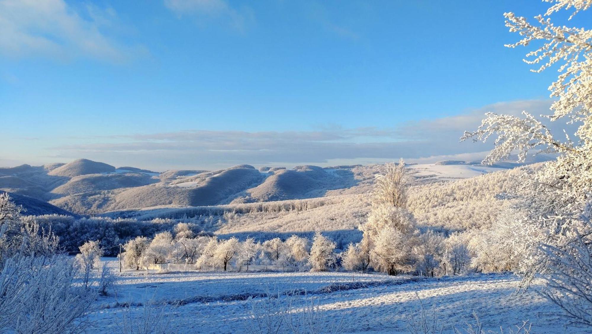 Nature Homestay Trencin Exterior photo